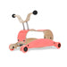 Racer & Walker Wishbone Mini-Flip Walker