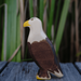 Animal Figurine HolzWald Sea Eagle 4262389074287