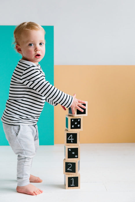 Wooden Building Blocks The Freckled Frog Fun with Chalk! Wooden Cubes